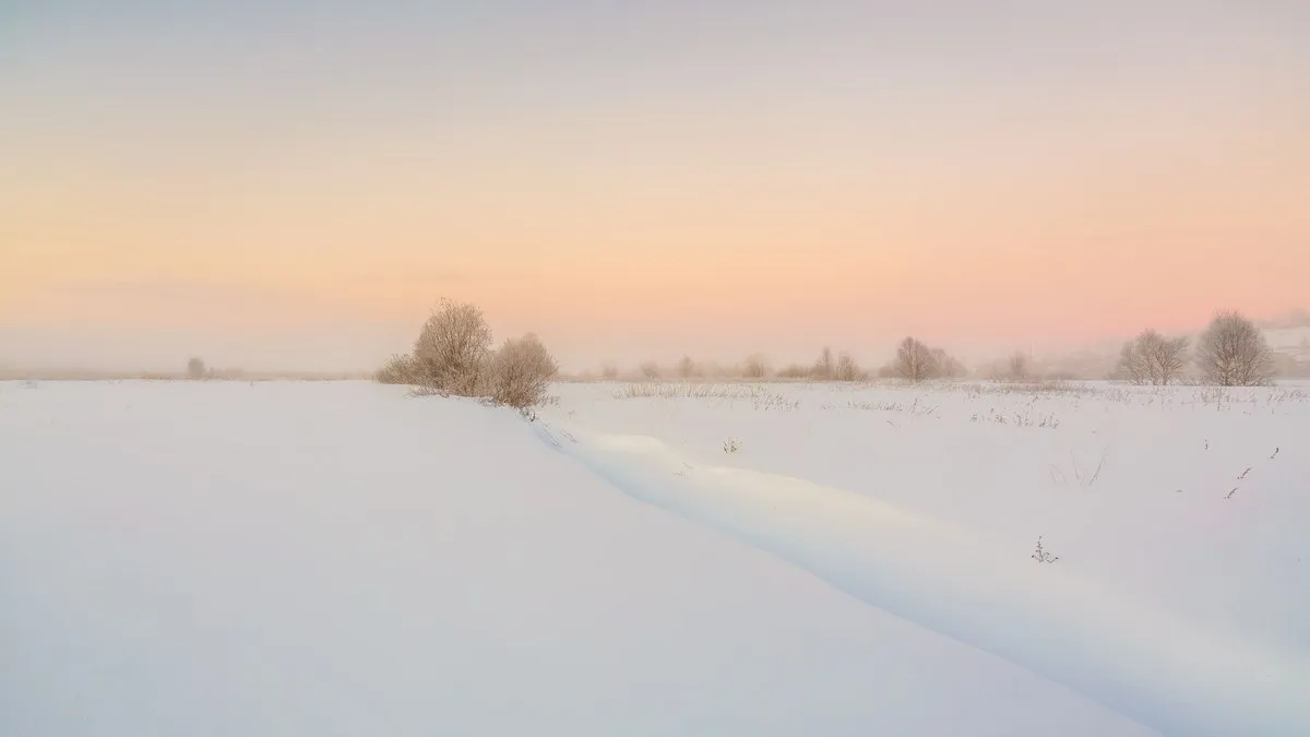A tranquil winter scene with snow-covered fields and distant trees under a pastel sky.