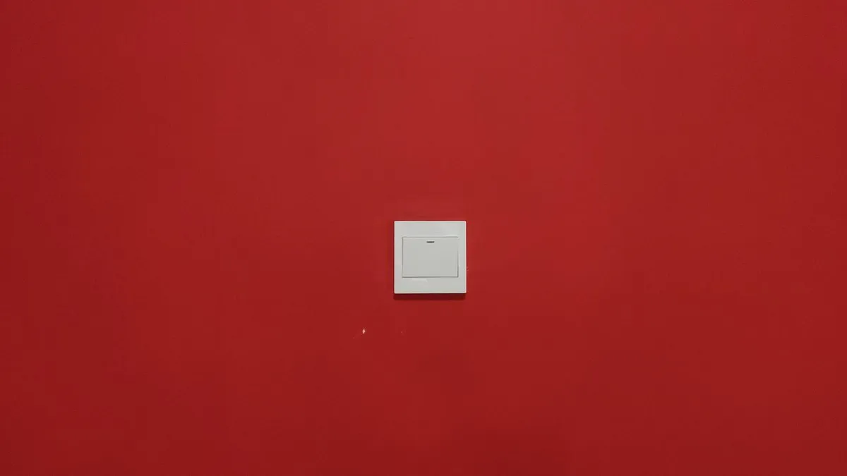 A minimalist light switch centered on a bold red wall captures simplicity.