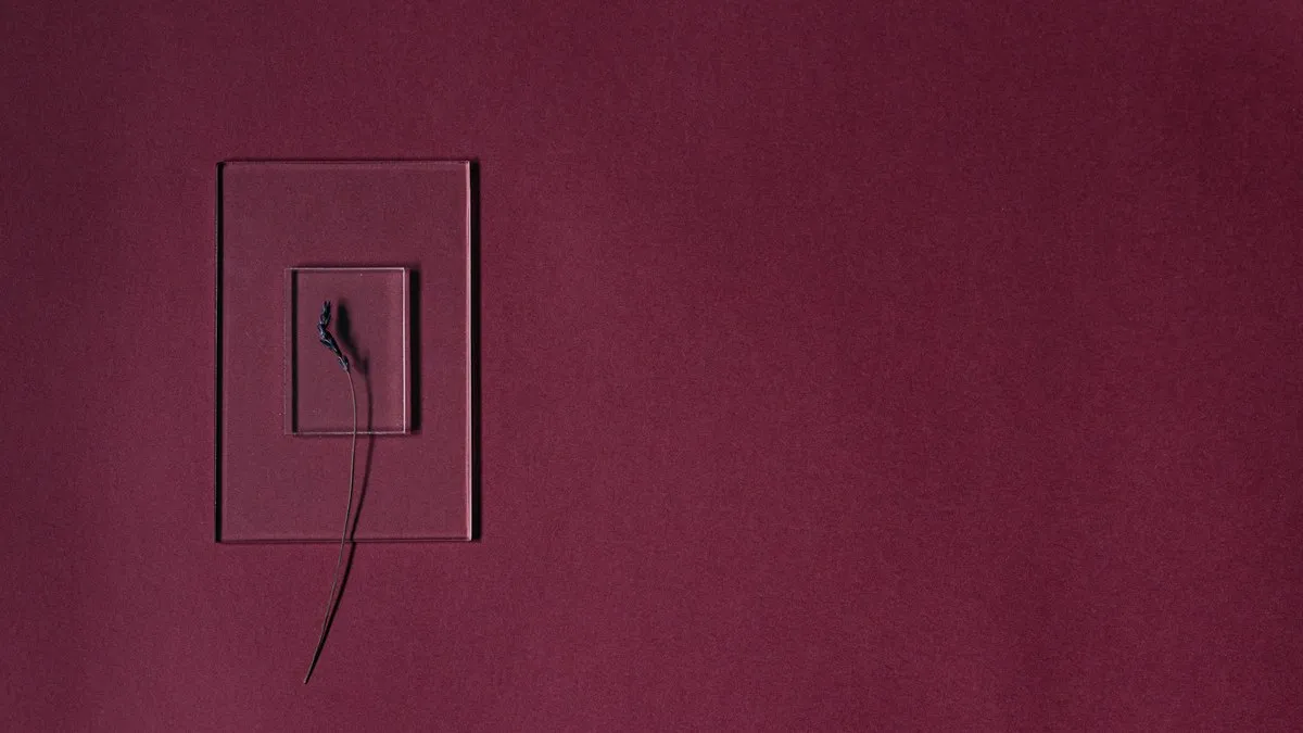 Minimalist maroon backdrop featuring a transparent frame with a single flower stem.