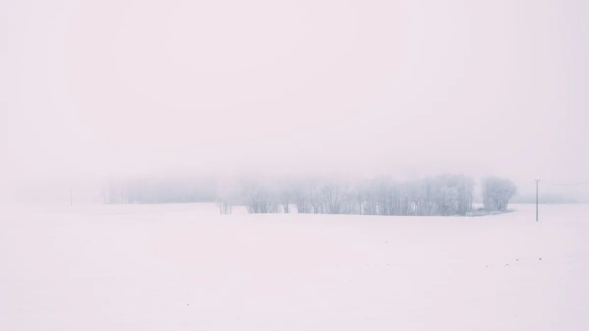 Peaceful winter scene with fog enveloping snow-covered trees, creating a tranquil atmosphere.