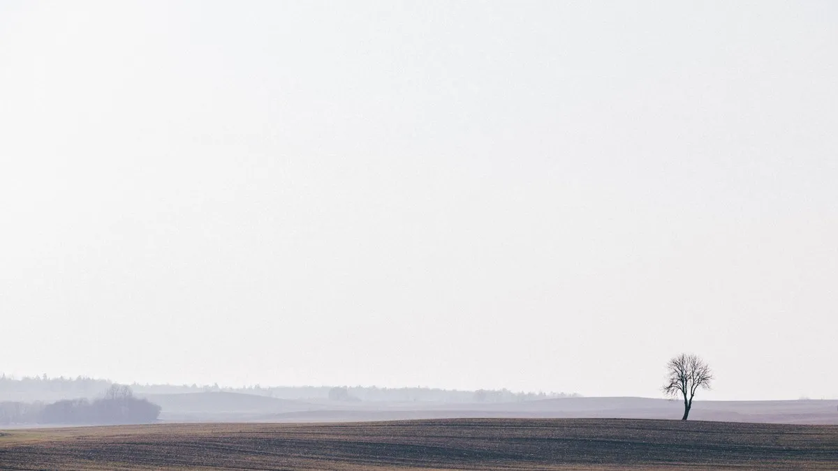 A minimalist landscape showcasing a barren tree in a vast field under an overcast sky.