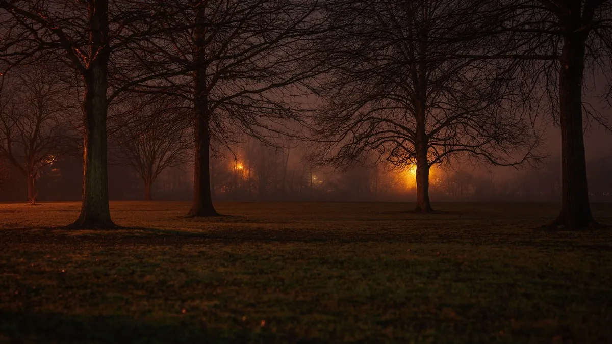 Capture of a foggy park at night with glowing streetlights and bare trees, creating a moody autumn atmosphere.