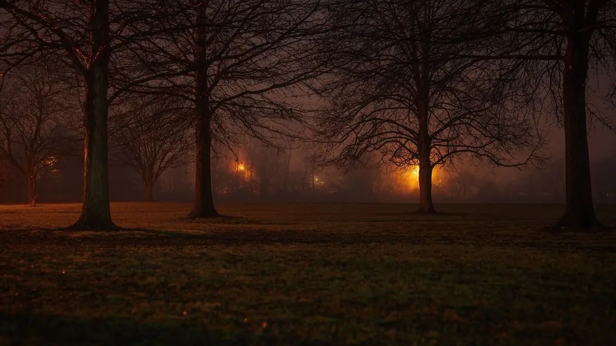 Capture of a foggy park at night with glowing streetlights and bare trees, creating a moody autumn atmosphere.