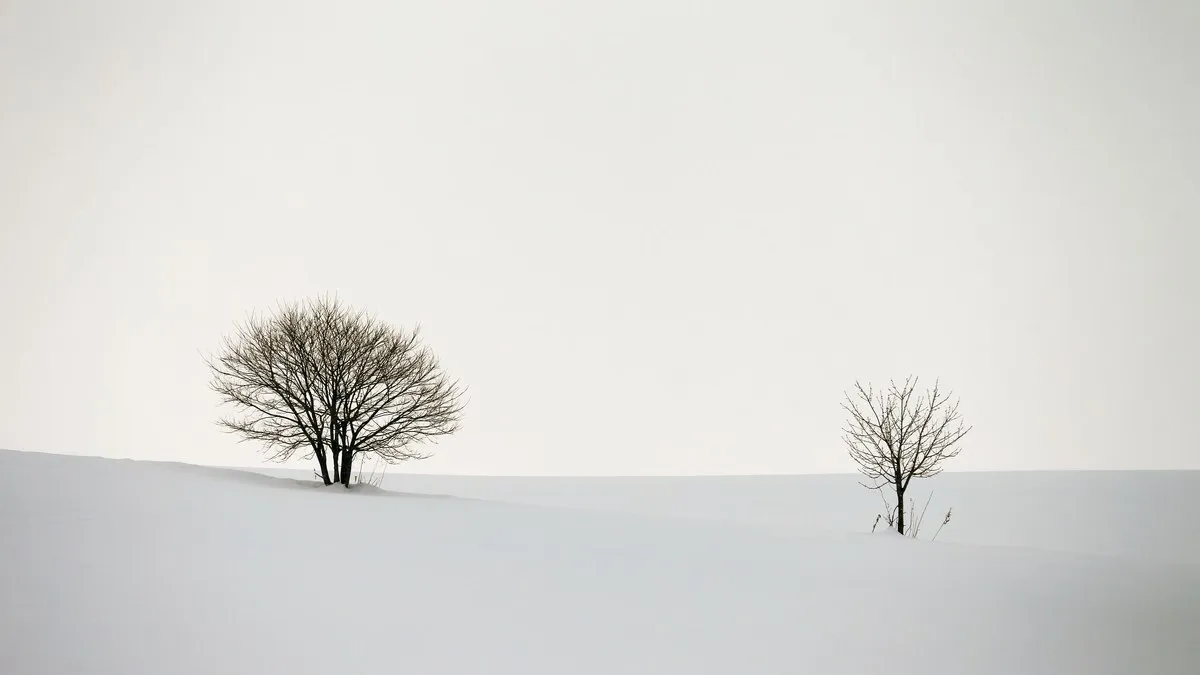 Serene winter landscape featuring two bare trees on a snowy hill under an overcast sky.