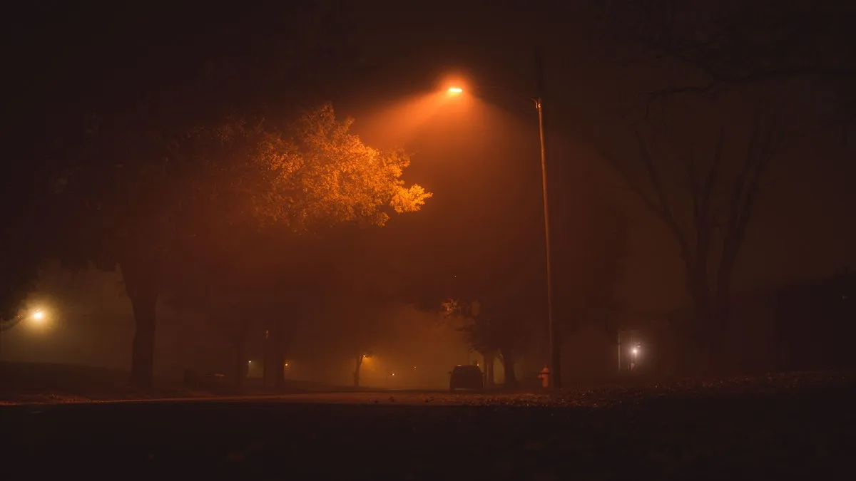 A nighttime street illuminated by an eerie street lamp amid foggy darkness.