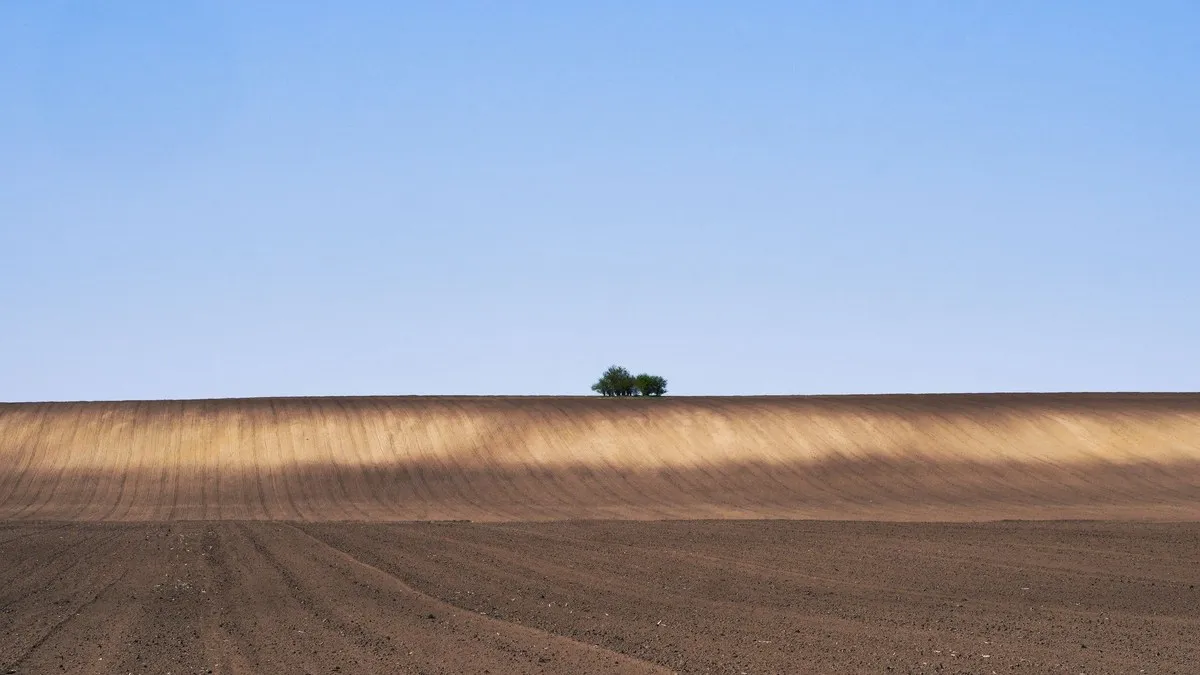 Expansive farmland under a clear sky in Dolovo, Vojvodina, Serbia.