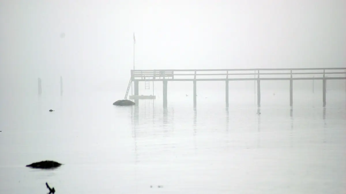 A serene image of a wooden pier extending into foggy, still waters.