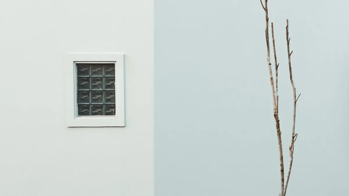 Simple minimalist wall with glass window and branches in Vung Tau, Vietnam.