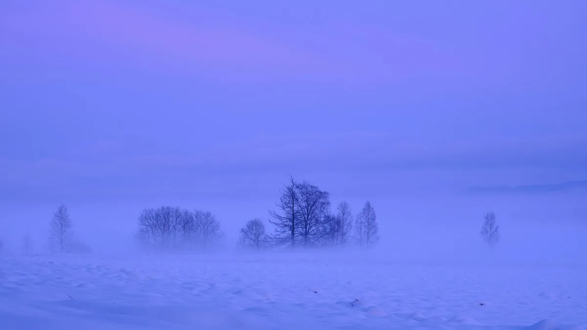 Tranquil blue winter scene with fog enveloping bare trees in a snowy field.